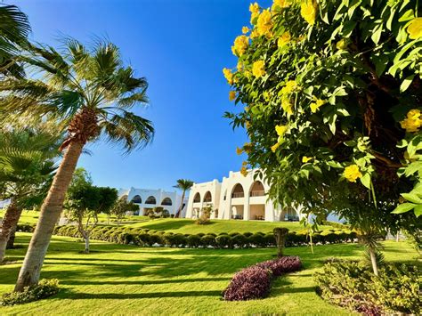 Hilton Marsa Alam Nubian Resort – Experiences & Reviews