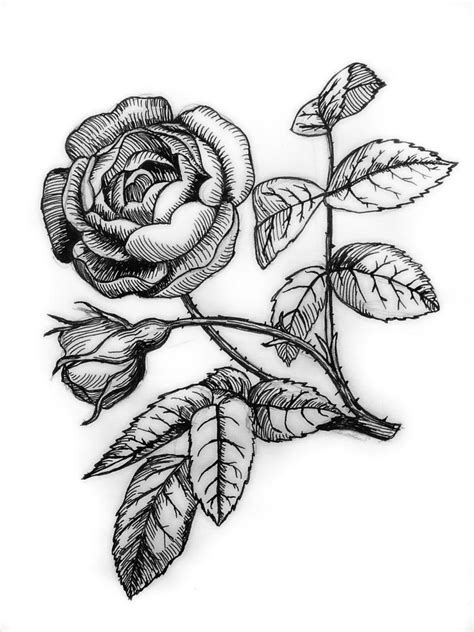 ink rose by hydrocyanic-acid on DeviantArt