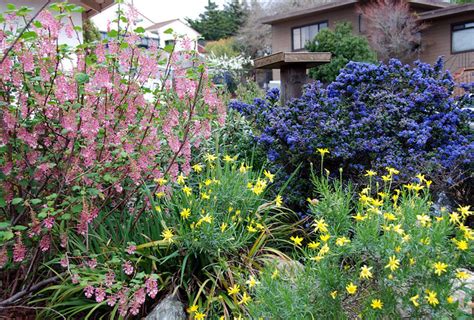 Nativescaping: Habitat Restoration, One Garden at a Time