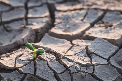 Consecuencias del efecto invernadero: así será el mundo en 2050 ...