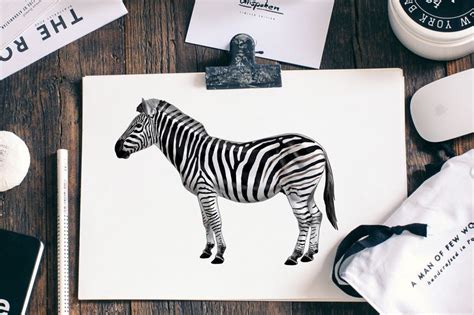 How To Draw A Realistic Zebra