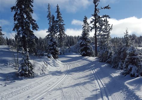 Welcome to the Stake Lake Trails!