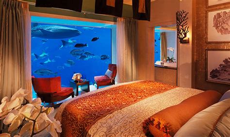 Olha que maneiraço: Um hotel submarino em Dubai - Mundo Gump ...