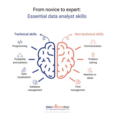 Data Analyst Journey: Novice to Expert – Master Key Skills