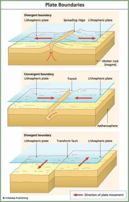 Seeing The Past In Present Events - Plate Tectonics - Fossil Hunters