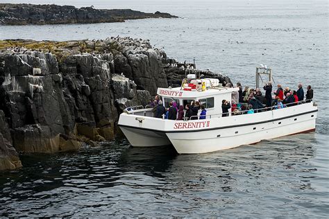 Our Farne Islands Boats - Serenity Farne Islands Boat Tours and Trips