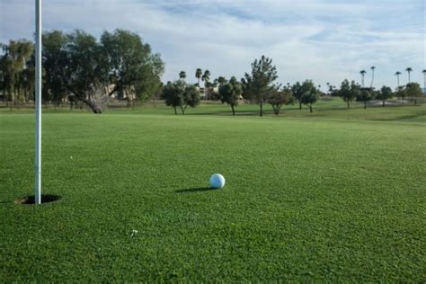 11 DIY Backyard Putting Green Kits - Our Blue Ridge House