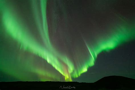 Où, quand et comment voir les aurores boréales en Islande! Le guide ultime!