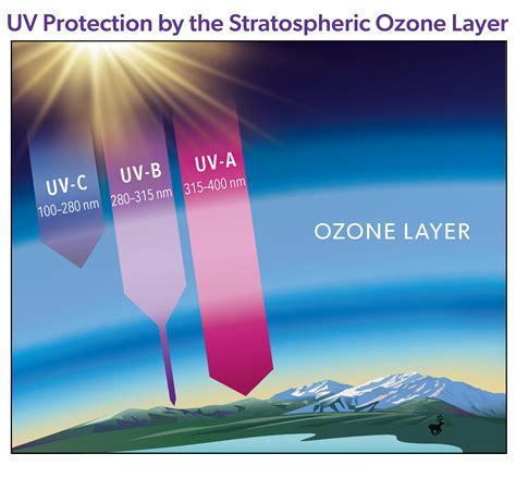 Scientific Assessment of Ozone Depletion 2022: Twenty Questions and Answers About the Ozone Layer