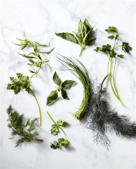 How to Cook With Fresh and Dried Herbs | Cooking with fresh herbs ...