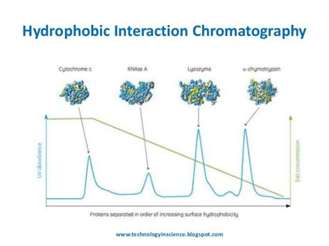 Hydrophobic interaction chromatography [HIC] Theory and Principle