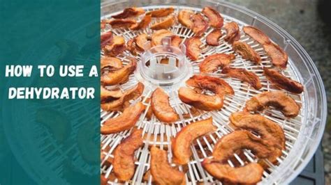 How To Use A Food Dehydrator?