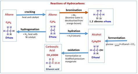 Organic Chemistry - IGCSE Chemistry (solutions, examples, worksheets ...