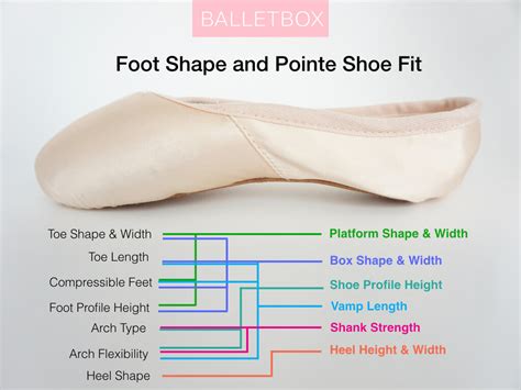 Pointe Shoe Fitting: Complete Guide to Getting the Best Pointe Shoes