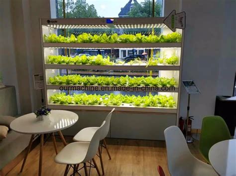 Indoor Hydroponic Wall Garden - TravisYearwood