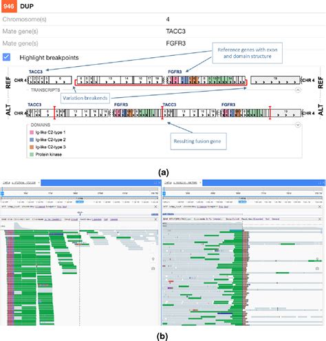 Prioritisation of structural variant calls in cancer genomes [PeerJ]