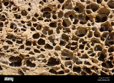 pocketed welded tuff rock background texture Stock Photo - Alamy