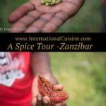 A Spice Tour on the Spice Island - A Journey to Zanzibar - International Cuisine