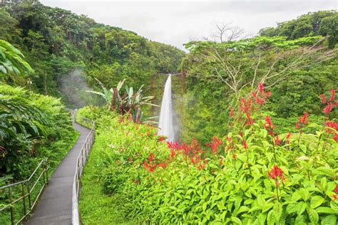 15 easy Hawaii hikes for all ages