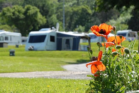 WOOD FARM CARAVAN & CAMPING PARK: Bewertungen, Fotos & Preisvergleich ...