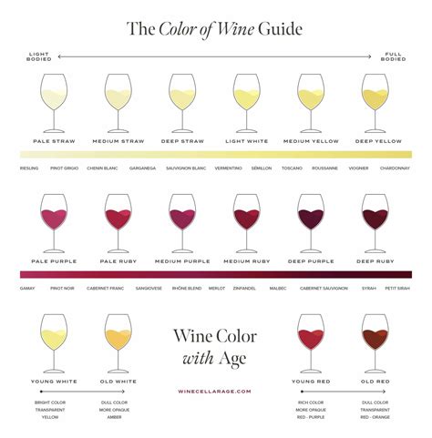 A Guide to The Color of Wine (and what it can tell you) - The Wine ...