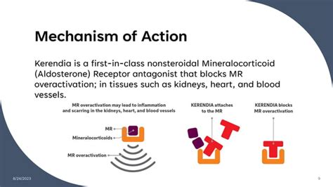 Use of Kerendia (Finerenone), MOA and side effects | PPT