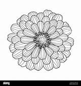 Zinnia Border Coloring Pages  Vrogueco sketch template
