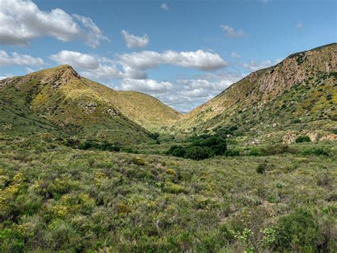 Hike Mission Trails Visitor Center Loop - Go Hiking San Diego