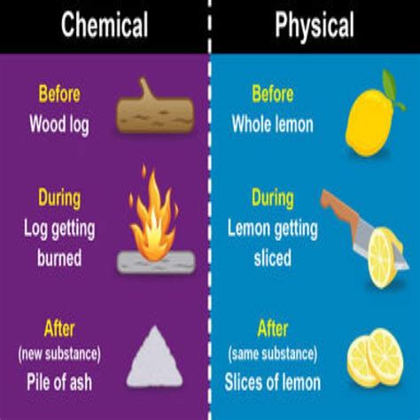 Physical Reaction Examples