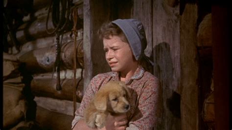 Beverly Washburn as Lisbeth Searcy in Old Yeller - Old Yeller Photo ...