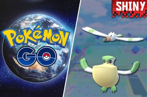 Pokemon GO Wingull Shiny: How to catch Shiny Wingull and Shiny Pelipper? - Daily Star