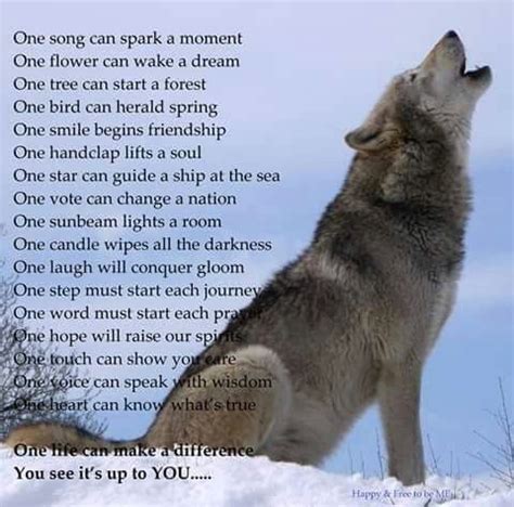 Wolf song | Lone wolf quotes, Wolf quotes, Animal quotes