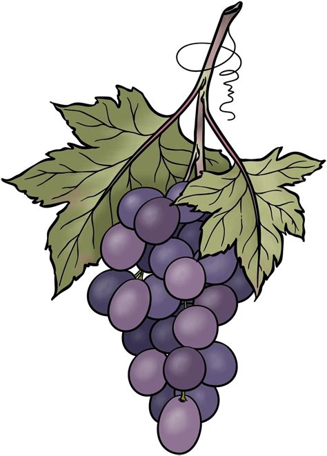 Beccy's Place: Bunch of Grapes