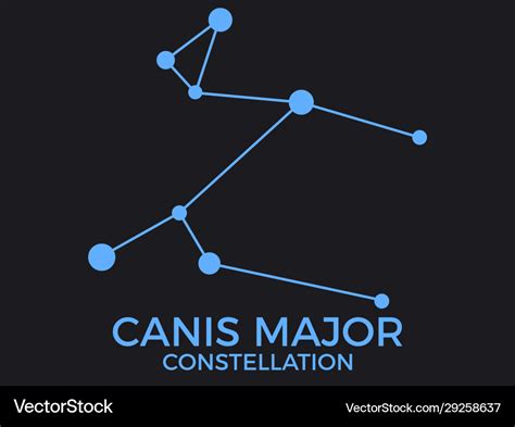 Canis major constellation stars in night sky Vector Image