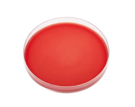 Washed Cow Blood Agar - UdderHealth