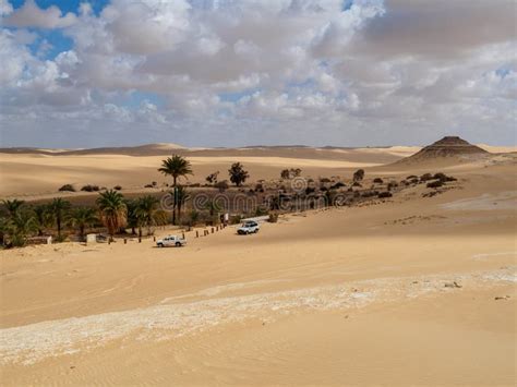 Siwa oasis in the desert stock image. Image of people - 175548717