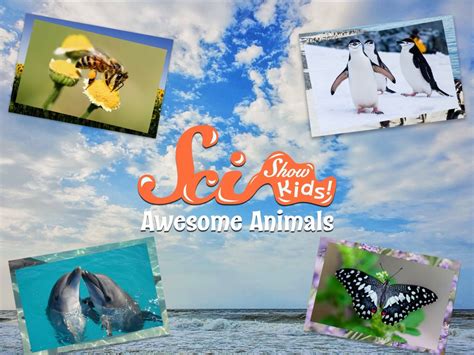 SciShow Kids: Awesome Animals - Apple TV (UK)