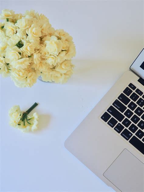 Free Images : white, yellow, flower, font, plant, room, hydrangea, table, cut flowers, bouquet ...