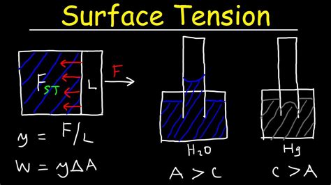 Surface Tension of Water, Capillary Action, Cohesive and Adhesive ...