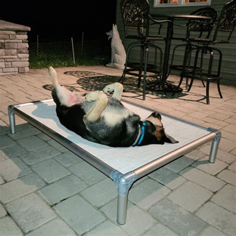 Kuranda® | Elevated, Indestructible & Large Dog Beds