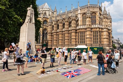 London Protest Dogs Show - Free photo on Pixabay - Pixabay