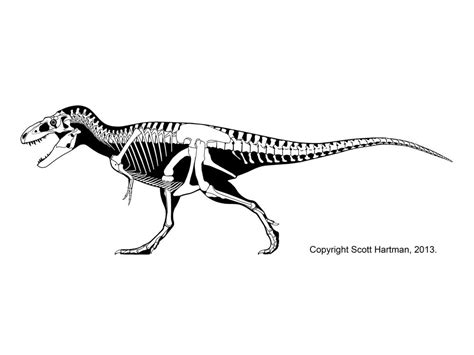 Bistahieversor Skeleton Model, Dinosaur Skeleton, Paleo Art, Dinosaur Fossils, Prehistoric ...
