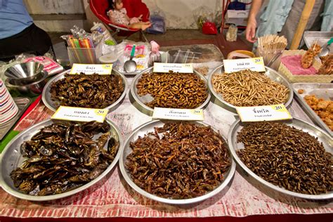 PHOTO: Fried Insect snacks for sale in Thailand