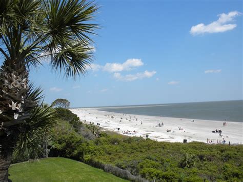 Treasures Found on St. Simons Island – The King and Prince Resort