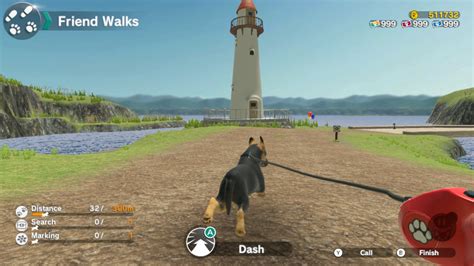 Little Friends: Dogs & Cats Review (Switch) | Nintendo Life