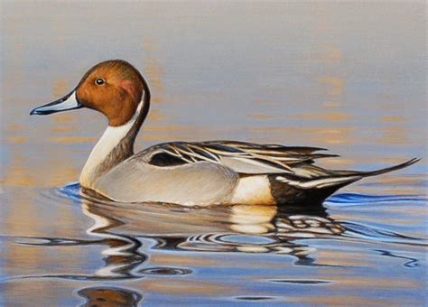 George Lockwood's Daily Paintings | Duck art, Wildlife photography, Waterfowl hunting