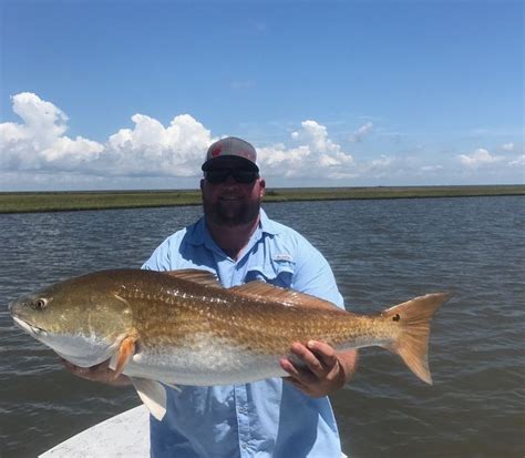 New Orleans Inshore Fishing Reports - NOLA Sight Fishing :: New Orleans ...