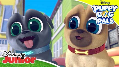 Playtime with Puppy Dog Pals: Boxing Day 📦 | Disney Junior Arabia - YouTube