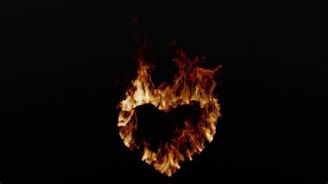 Animation of ignition and burning heart fire 3D model animated | CGTrader