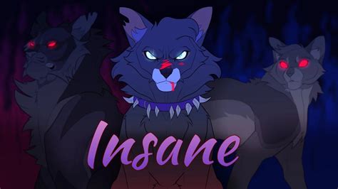 ЗАКАЗ Коты Воители: Insane [Black Gryphon] - YouTube